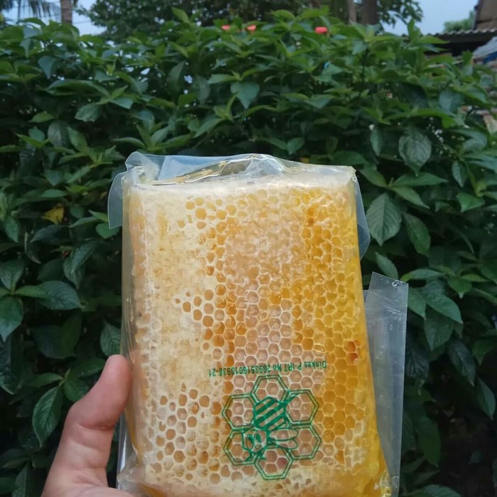 

Ge602G Madu Sarang Murni Asli Mellifera 500Gr Ds5