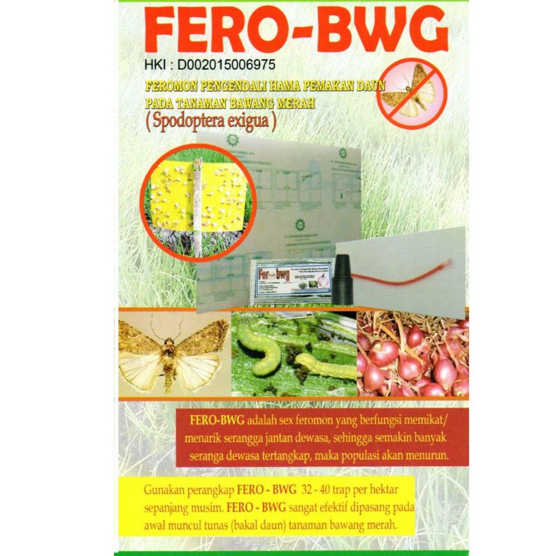 PAKET FERO BWG (Feromon Pengendali Hama Ulat Bawang Spodotera Exiqua - Bio Insektisida)