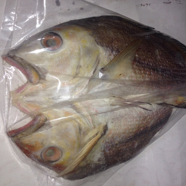 

Ikan kering kakap khas BONTANG KUALA