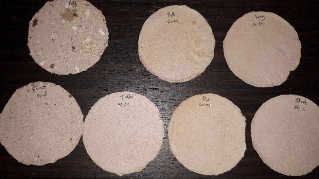 Ariani1318 Set Bunga Plastik Semanggi Dengan Pot Plastik Putih Bulat