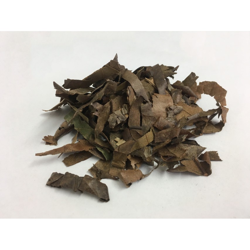 

10 G 50 GR 100 GRAM PI PA YE LOQUAT LEAF LEAVES FOLIUM ERIOBOTRYAE