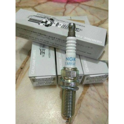 BUSI LIVINA/ XTRAIL NEW ASLI