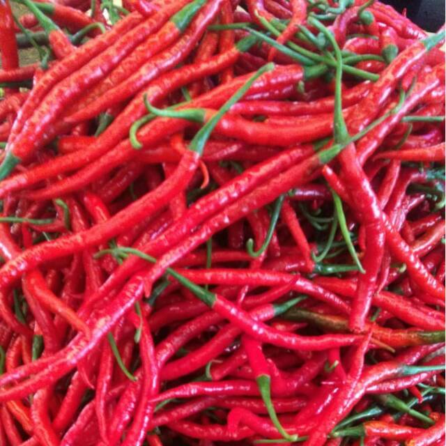 

CABAI MERAH KERITING / 500 gr