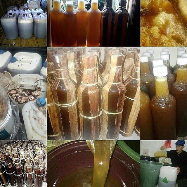 

Madu hutan asli