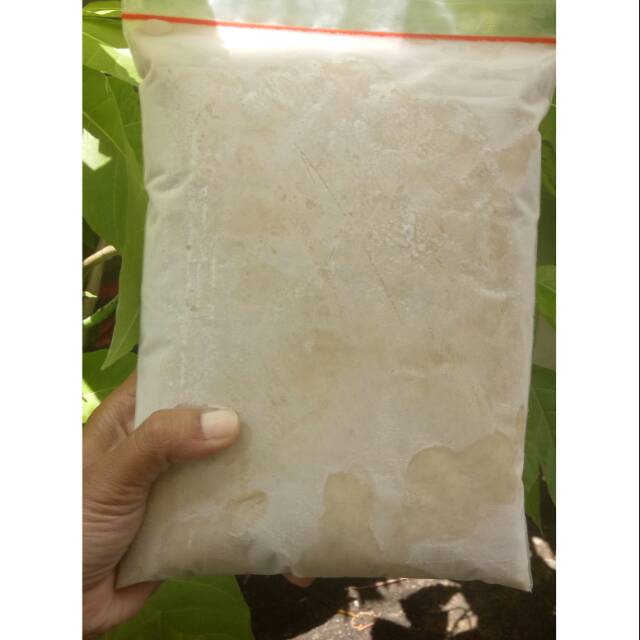 

DAGING DURIAN MEDAN 1KG