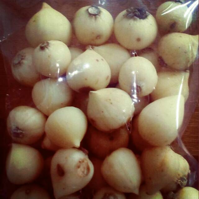 

BAWANG PUTIH TUNGGAL KUPAS