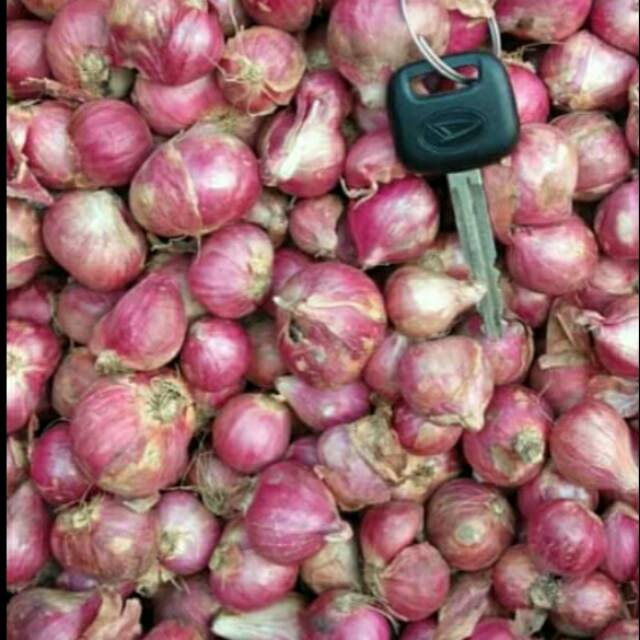 

Bawang merah