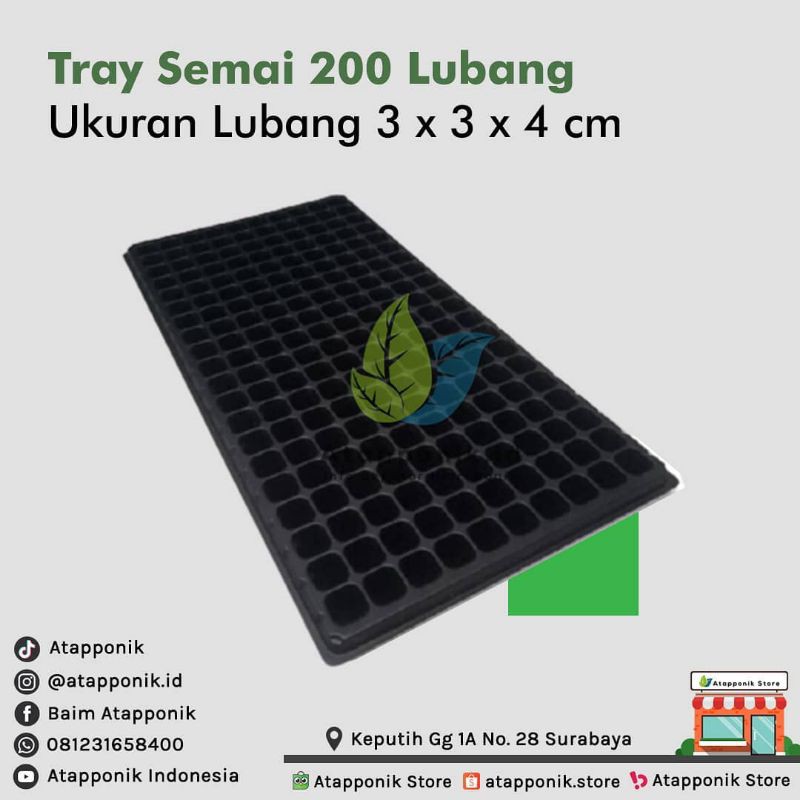 pot tray semai 200 lubang - tray semai tanaman - pottray