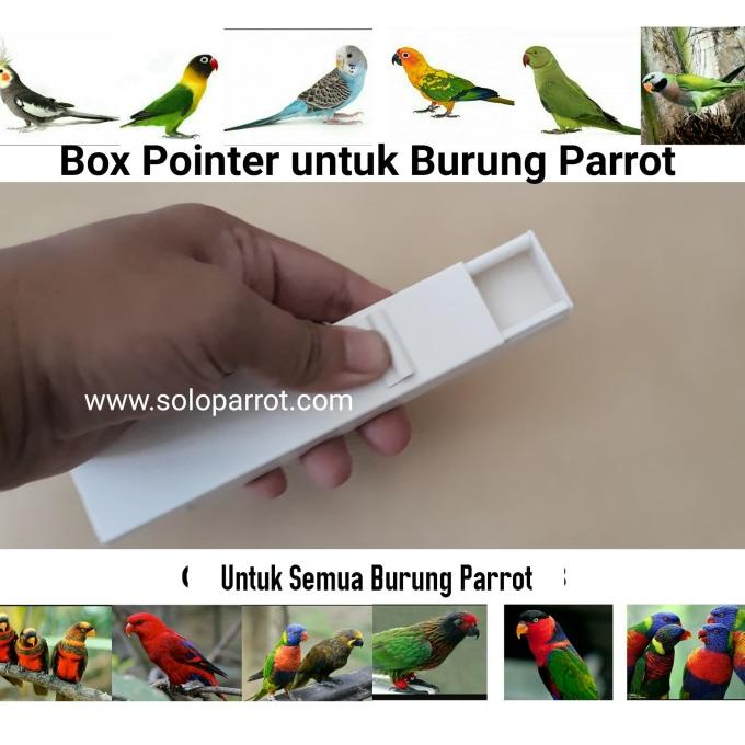 ] Pointer Burung