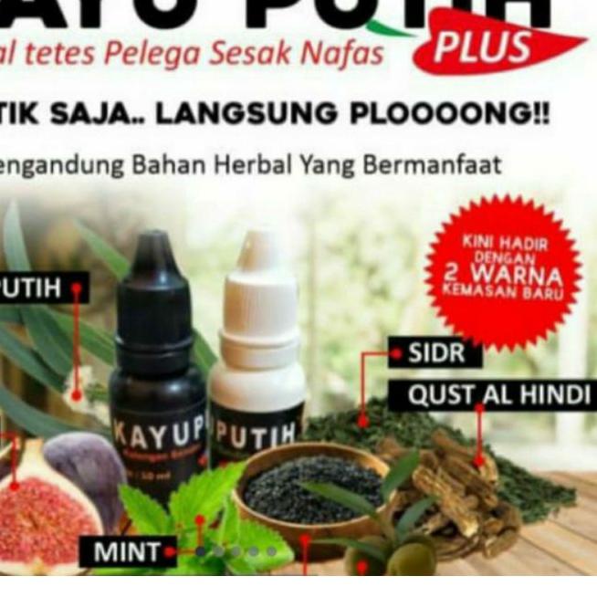 GRATIS ONGKIR✅Gudang Sayur - Minyak Kayu Putih Plus Pelega Sesak Napas Hidung Mampet - Al-Kahfi Orig