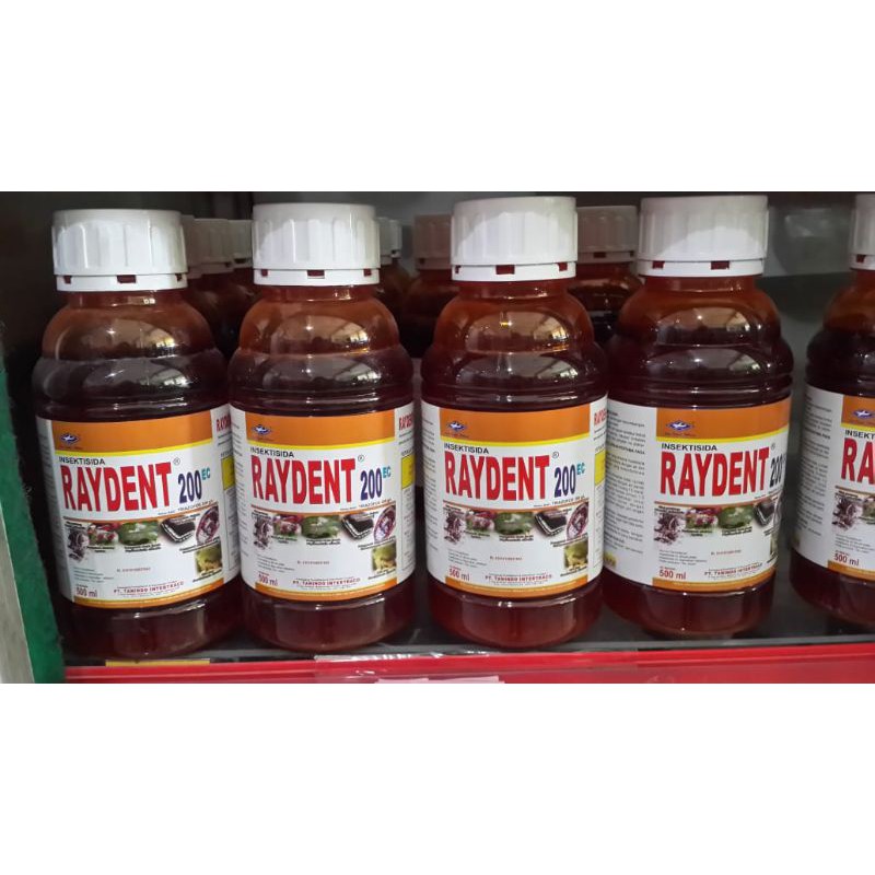 RAYDENT PENGOPYOR TELUR ULAT BAWANG MERAH