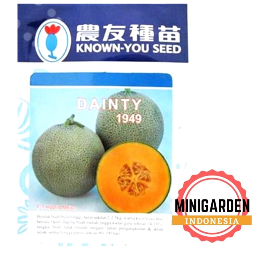 MELON DAINTY 20 GRAM PACK BESAR benih biji bibit buah melon rock oren orange hibrida f1 known you seed