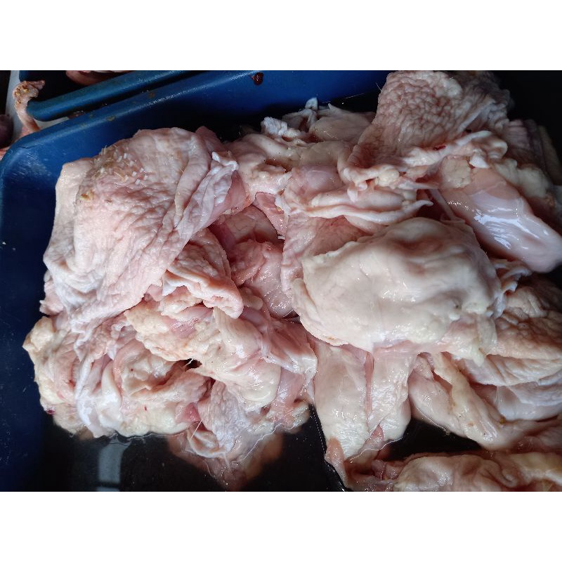 

KUlit AYAM LEMAK