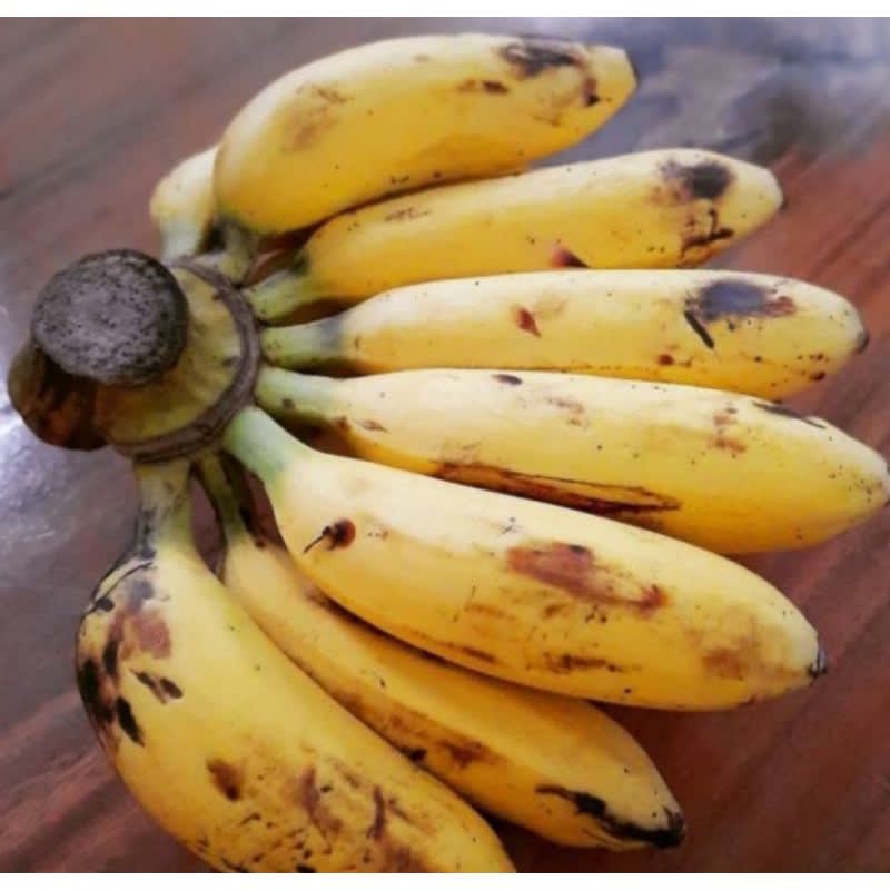 pisang uli 1kg Hasil Kebun Sendiri