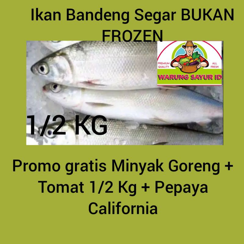 

IKAN BANDENG SEGAR 1 KG / BUKAN IKAN FROZEN