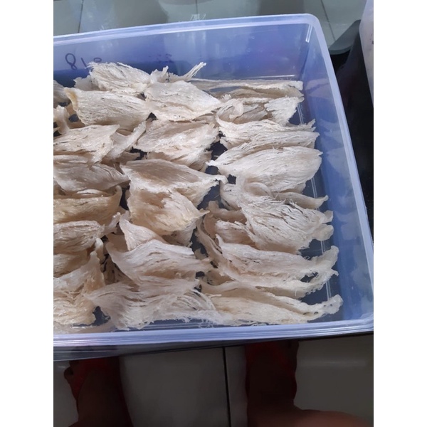 SARANG WALET PATAHAN BESAR 1kg