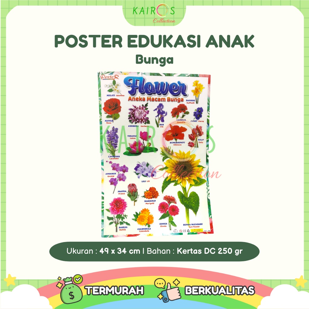 Poster Dinding Belajar Anak Aneka Macam Bunga