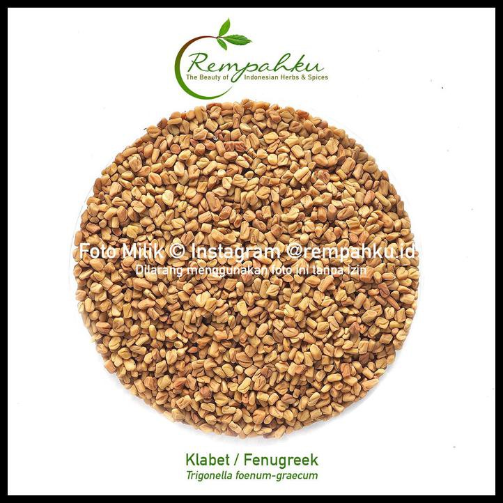 

Kualitas Terbaik - Rempahku - Biji Klabet 1Kg Herbal Fenugreek Seeds Kelabat Hulbah Methi