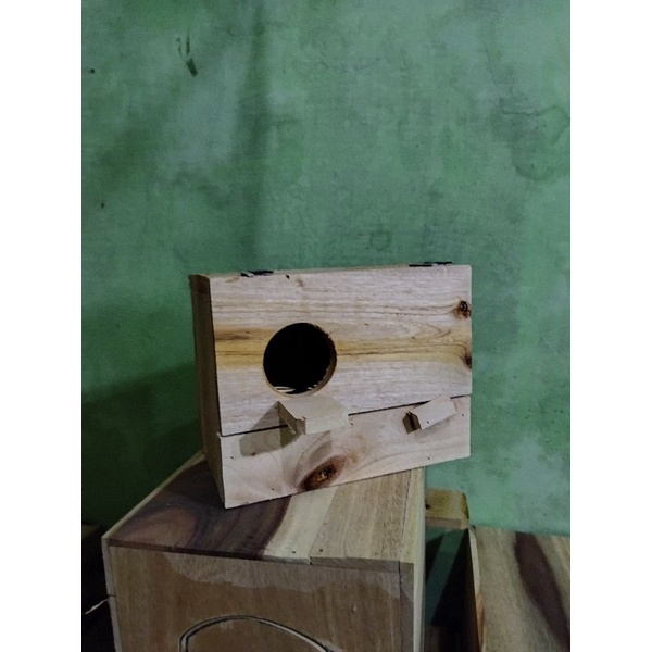 glodok burung parkit glodok burung ternak