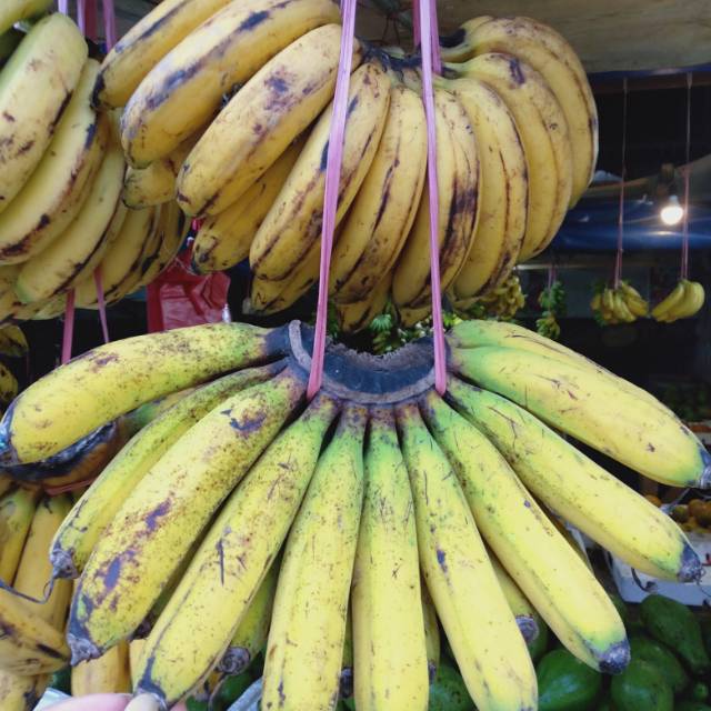 

Pisang Medan(barangan)