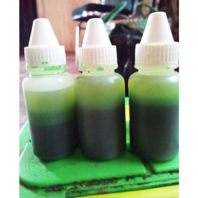 essen katilayu usar nilam amis wangi