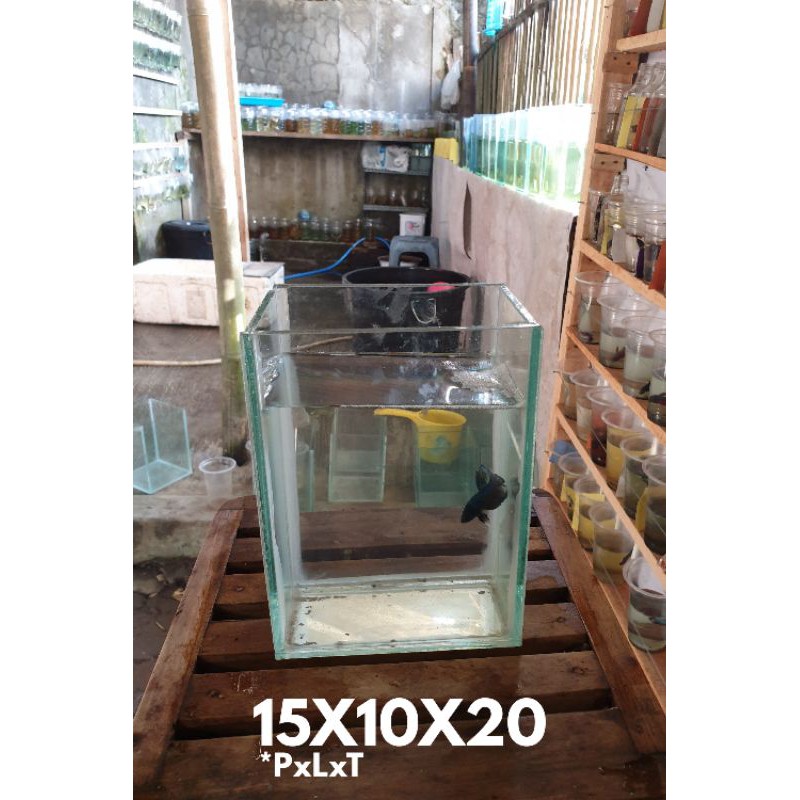 Aquarium / Soliter Ikan Cupang 15x10x20