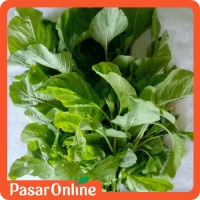 

Bayam Hijau / Sayur Segar - per ikat