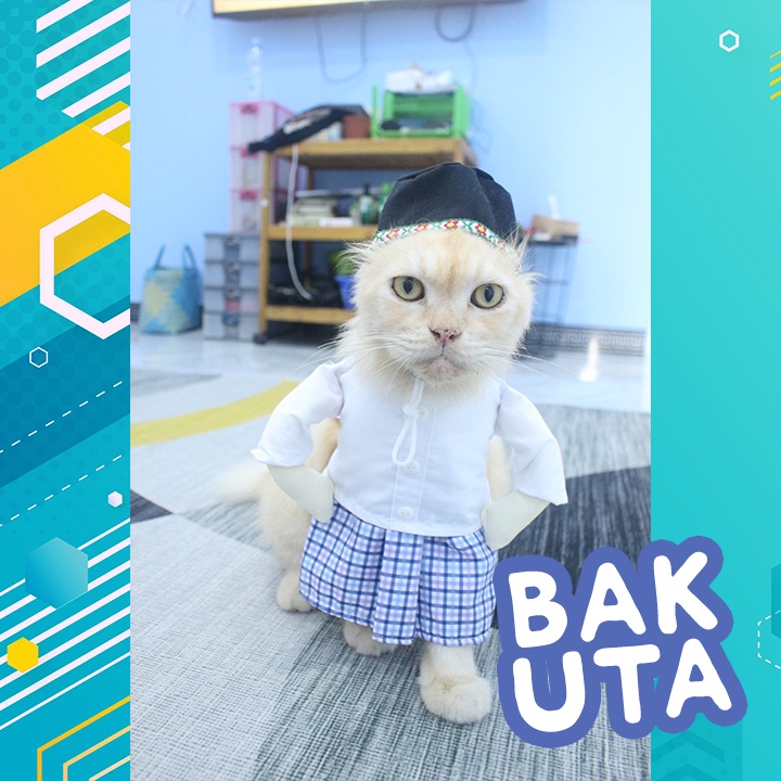 Kostum baju koko lebaran untuk kucing lucu / Baju kucing murah size S-XL