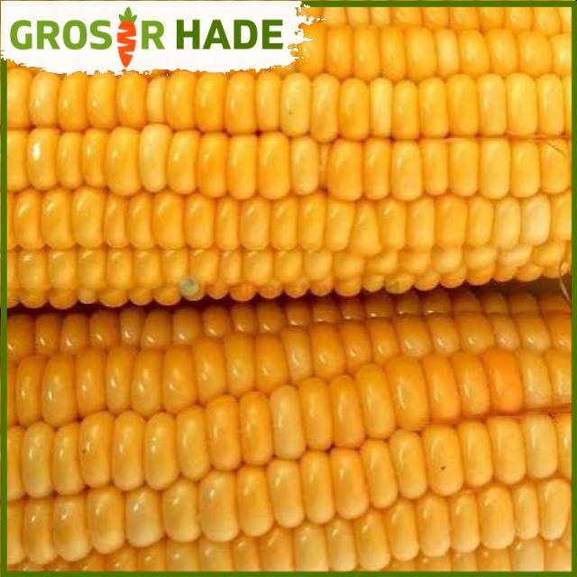 

Jagung manis bandung 1 kg Pasar Bandung Murah