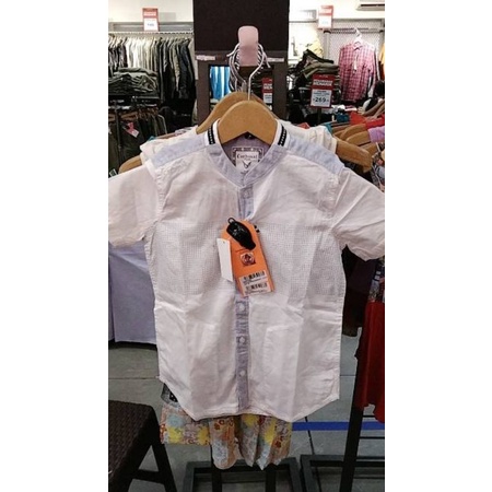 kemeja koko cardinal kids