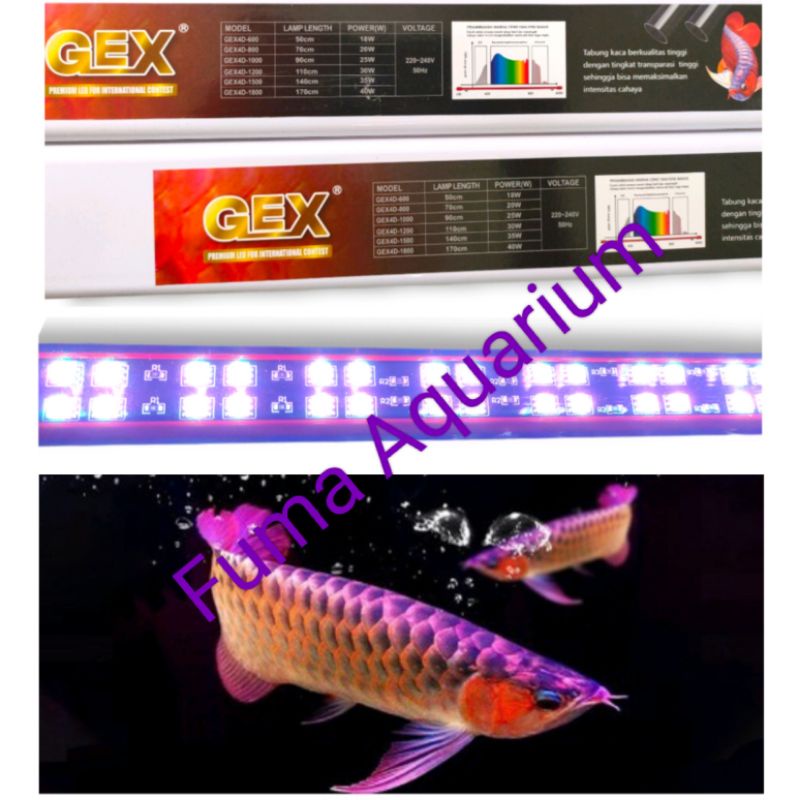 Lampu Tanning View Red Arwana + UV GEX 4D-800 T8 Double Led 16.000K 20watt Spesial Red