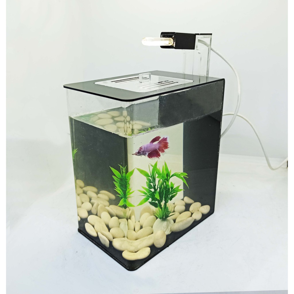 Ready Aquarium Akrilik Aquarium Unik Aquarium Minimalis Aquarium Cupang Aquarium Ikan Guppy Shopee Indonesia