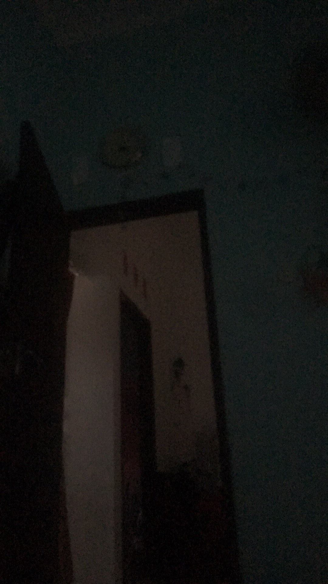 Sendok Buah Koktail Plastik Bulat - Random Color