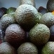 

Avocado Baby Import - buah alpukat 1 kg