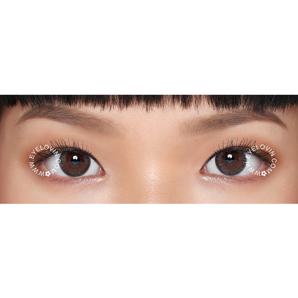 Eyelovin x Patricia Stephanie Softlens Neo Cosmo - Autumn Brown / Grey (Buy 1 Get 1)