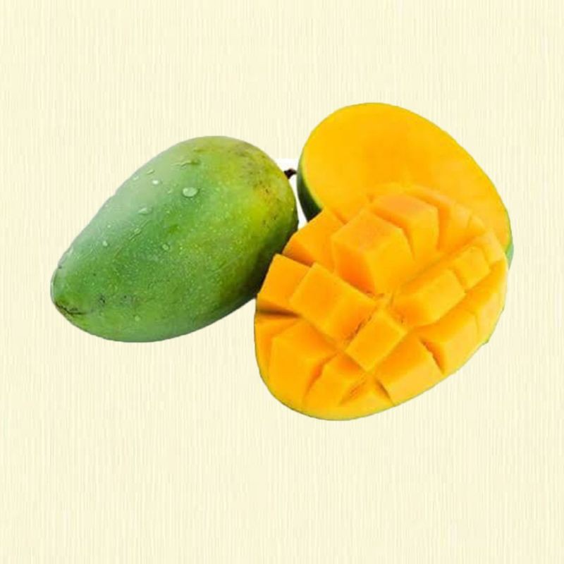 

Mangga Harum Manis