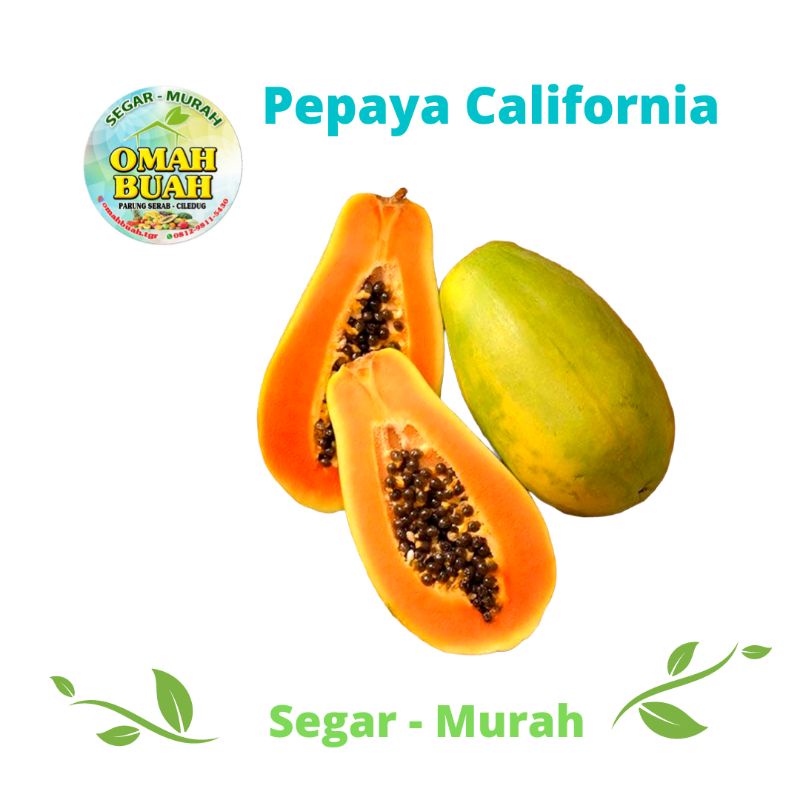 Pepaya California berat 0,9 -1,5 kg