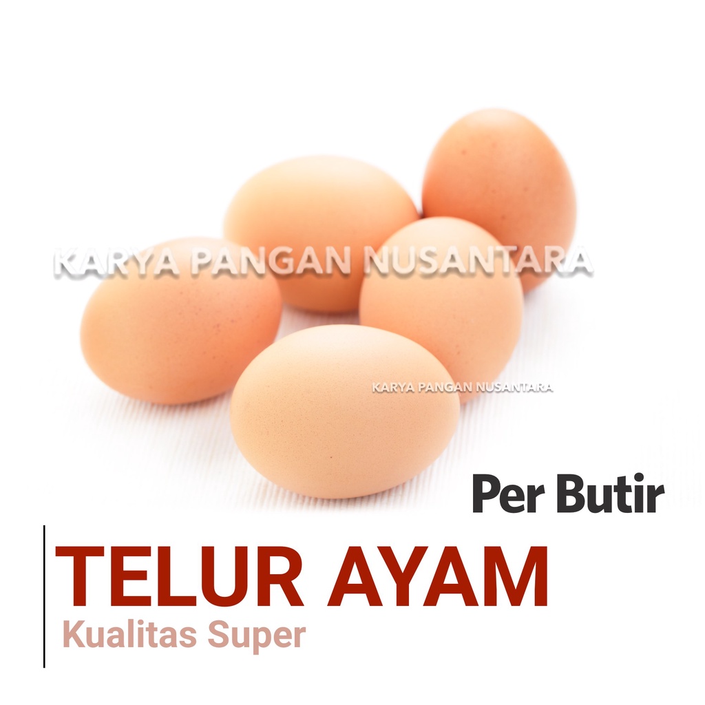 

TELUR AYAM NEGERI PER PCS BUTIR FRESH KUALITAS SUPER TELOR AYAM NEGRI