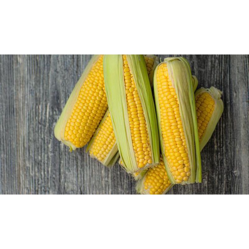 

jagung segar 500gram