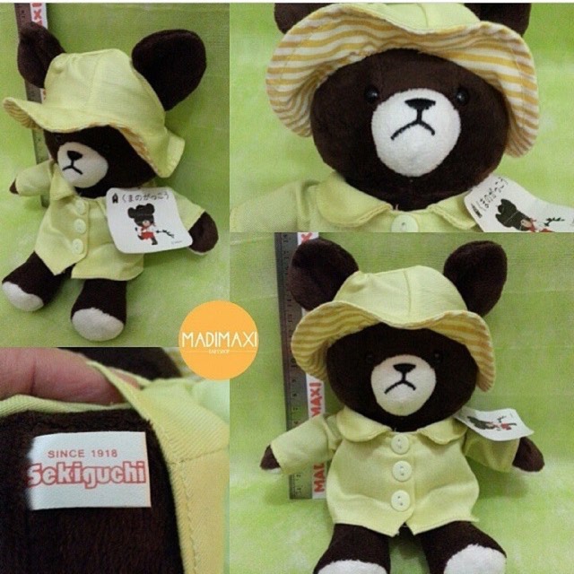 Sekiguchi bear