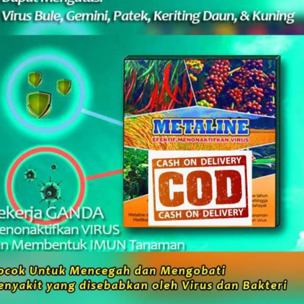 TEERLARIS ESW89 Obat Anti Virus Tanaman Cabe Gemini Keriting paket kuning