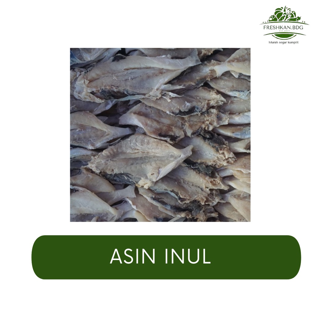 

IKAN ASIN INUL