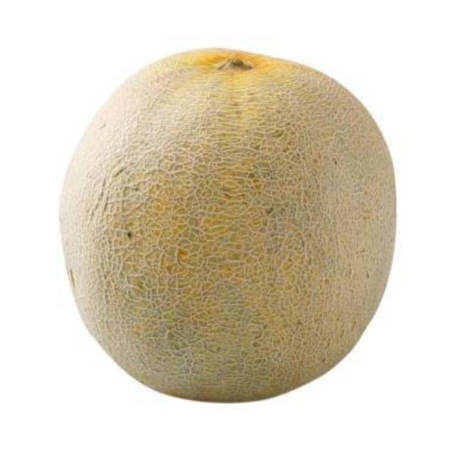

BUAH MELON SEGAR