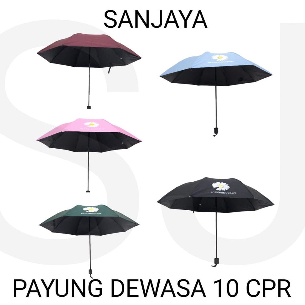 PAYUNG HUJAN / PAYUNG MOTIF POLOS / PAYUNG DEWASA 10 CPR