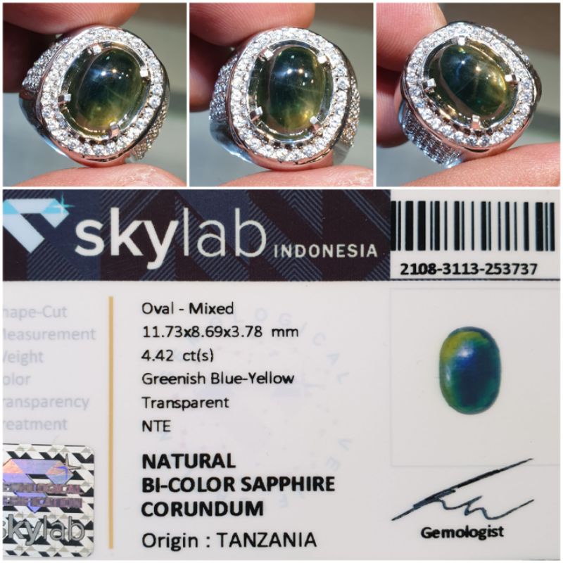 Natural Bi Color Sapphire NTE Memo 4.42 crt