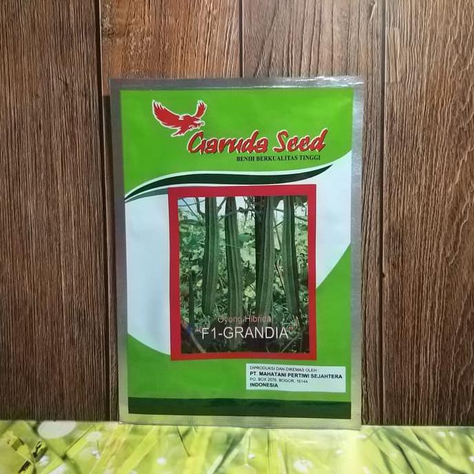 Benih/Bibit Oyong Hibrida F1 Grandia (Garuda Seed) - Isi 10 Gr Buru Order