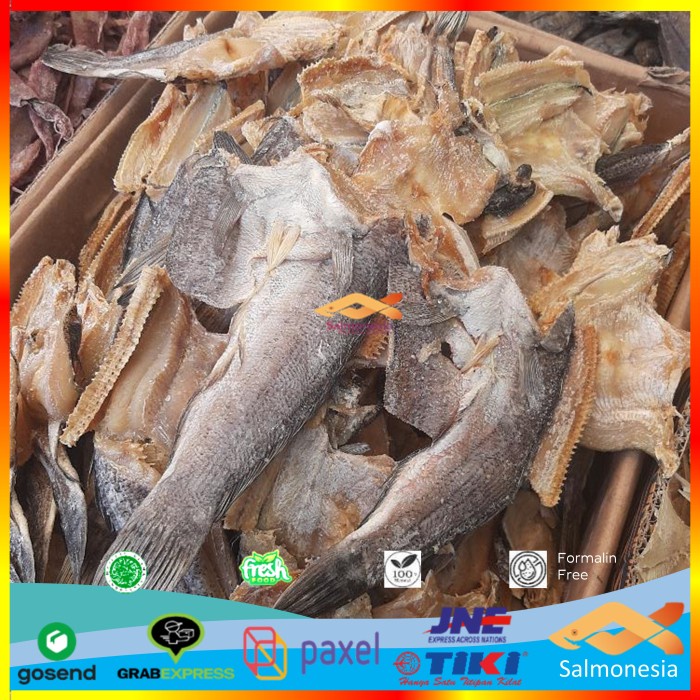 

Ikan Gabus Asin sedang budidaya lokal 500 gram By Salmonesia