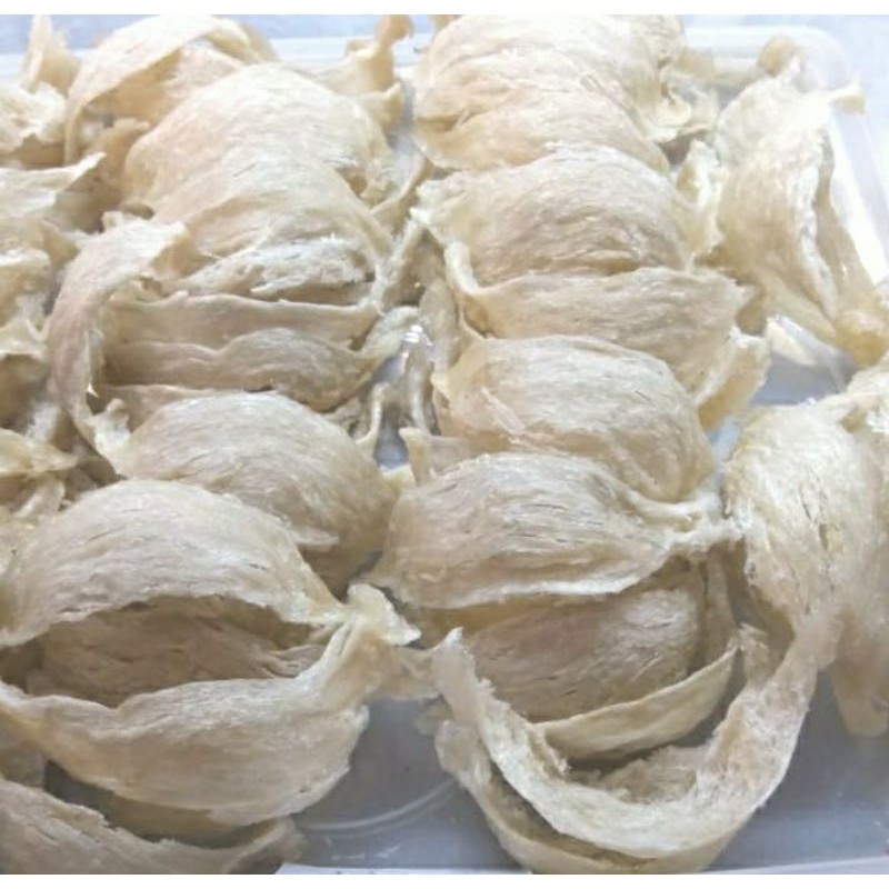 

SARANG BURUNG WALET SIAP MASAK 2 JARI (50 gram)