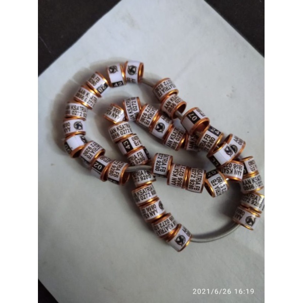 RING BURUNG MERPATI MODEL RODA STANDAR