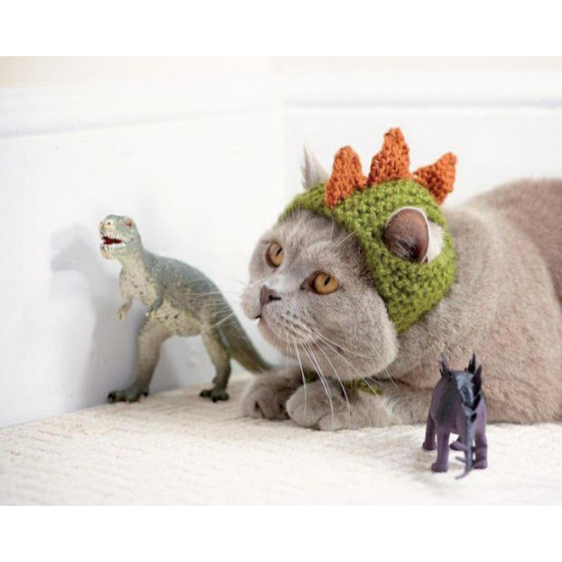 Dino Bucket Hat for Cat (Crochet Bucket Hat)